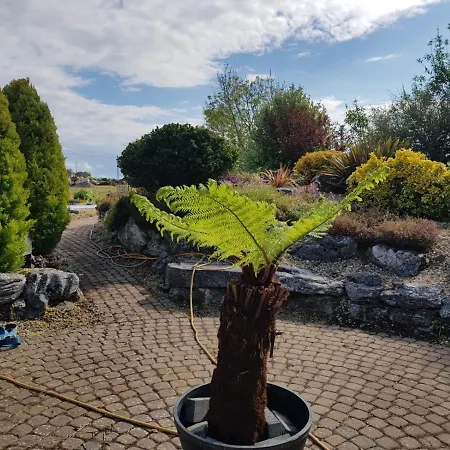 Castleview Casa vacanze Galway
